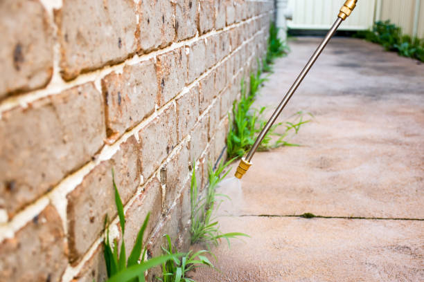 Pest Control for Warehouses in Douglass, KS